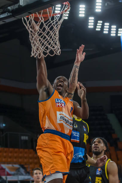 内的主导地 内的主导地